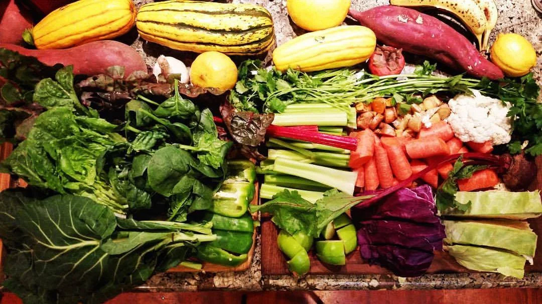 Tara's Healing Protocol