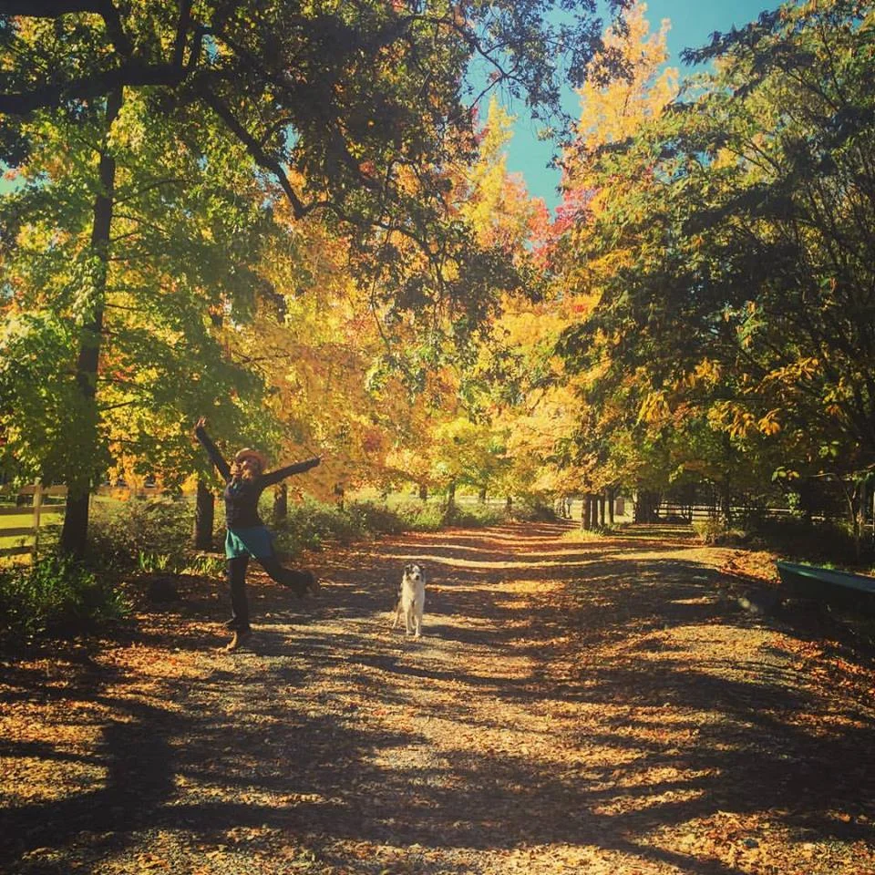 Finding my own Healing Path