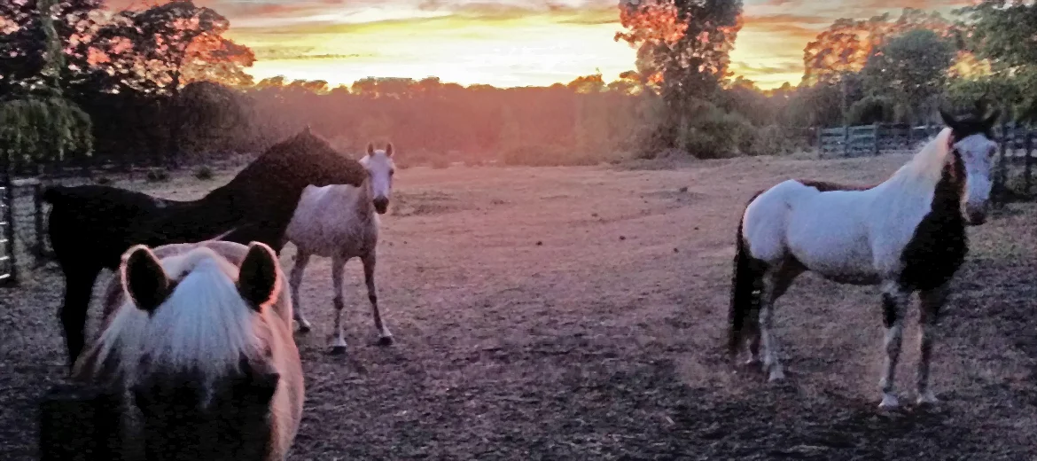 Navigating New Territory