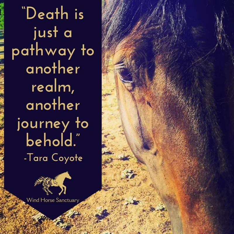 Death-Quote-1-Wind-Horse-Sanctuary.jpg