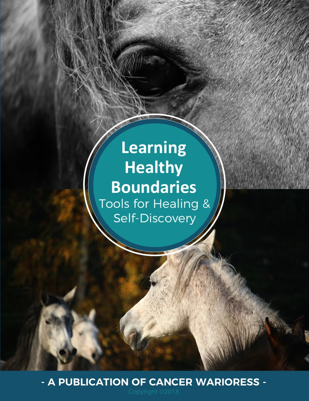 Learning Healthy Boundaries eBook - Cancer Warrioress - Copyright 2018.jpg