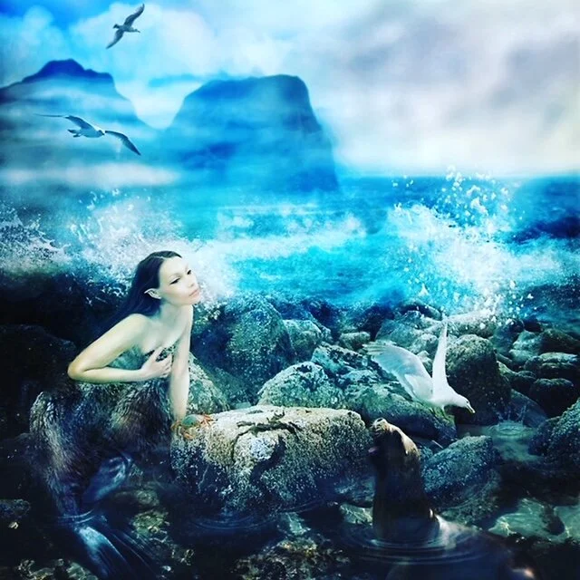 ✨🧜‍♀️To Capture a Selkie 🧜‍♀️✨