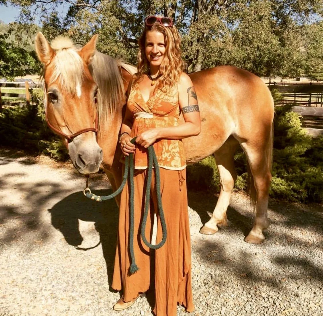 A Tribute to Daisy - Video 🐎