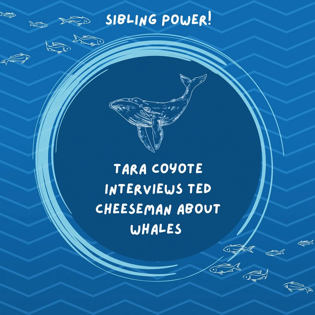 'All About Whales' Video Interview with my brother Ted Cheeseman of Happywhale