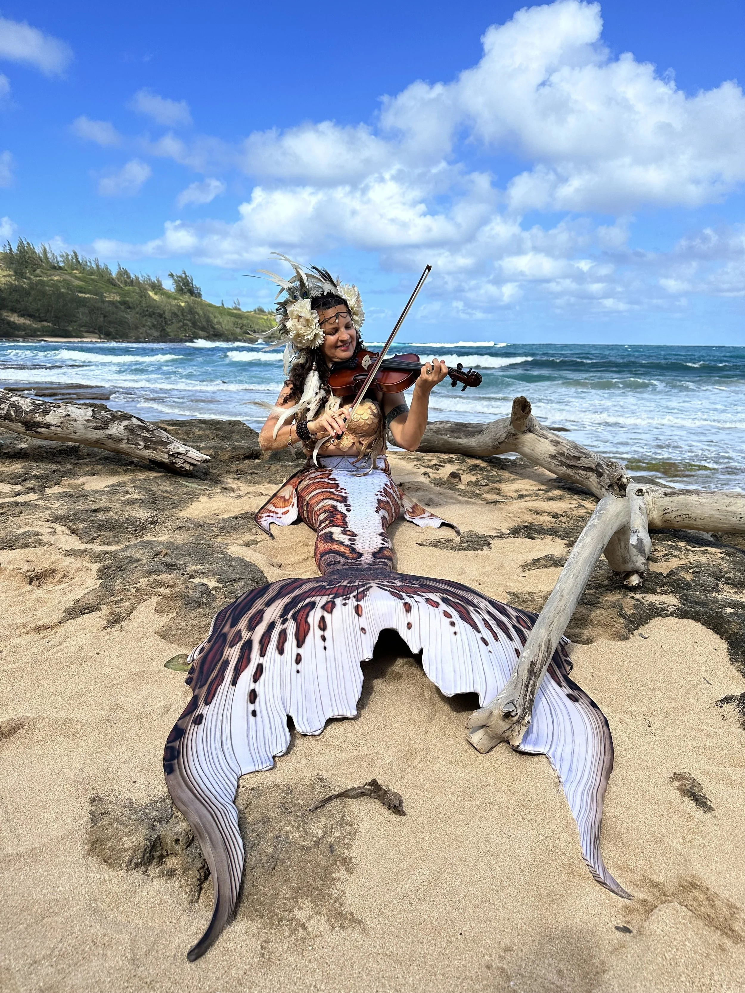 A Journey into Covert Narcissism - A Vulnerable Share