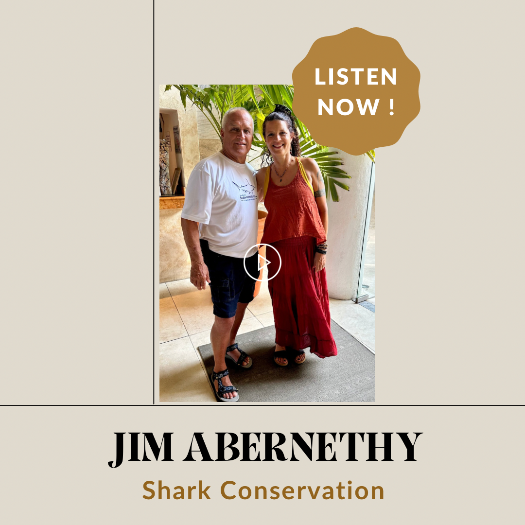 Shark Conservation Interview with Jim Abernethy
