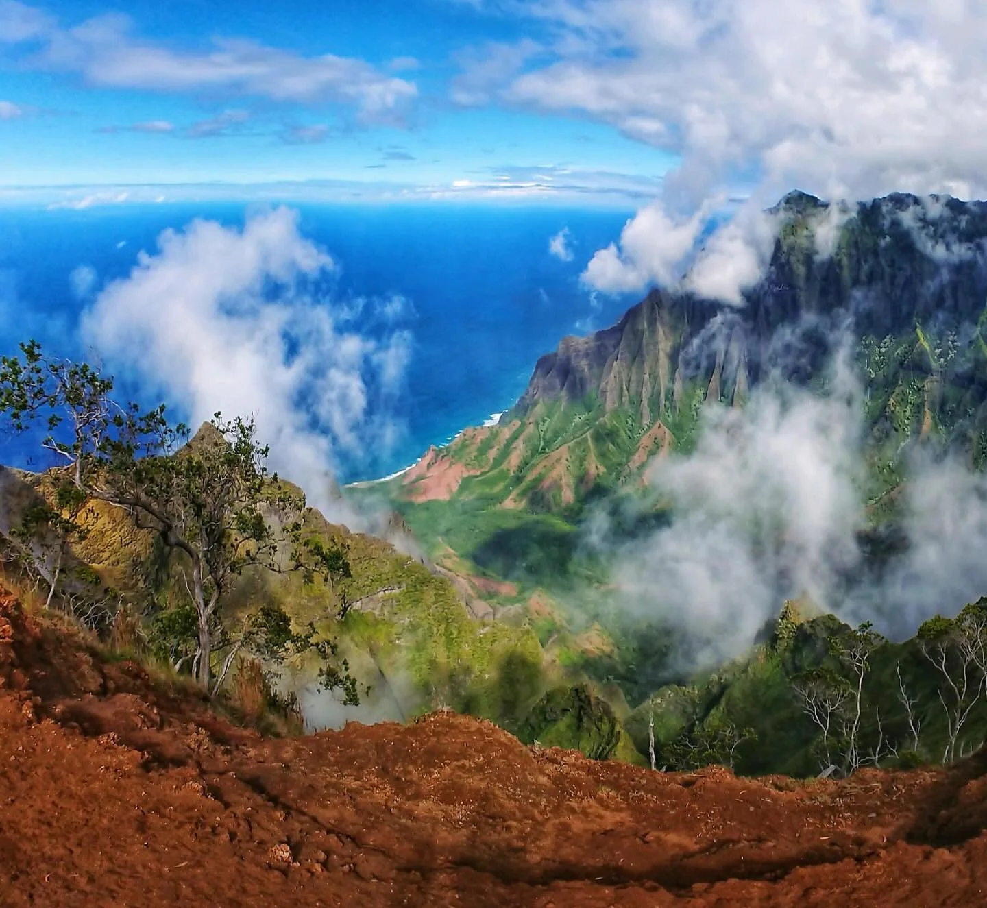 So very grateful for this amazing life I am blessed to live on sweet Kaua&rsquo;i, Hawaii 🏝️ 

This is the view overlooking Kalalau up in Koke&rsquo;e state park 🌺

#kauai #kauaihawaii #kalalaulookout