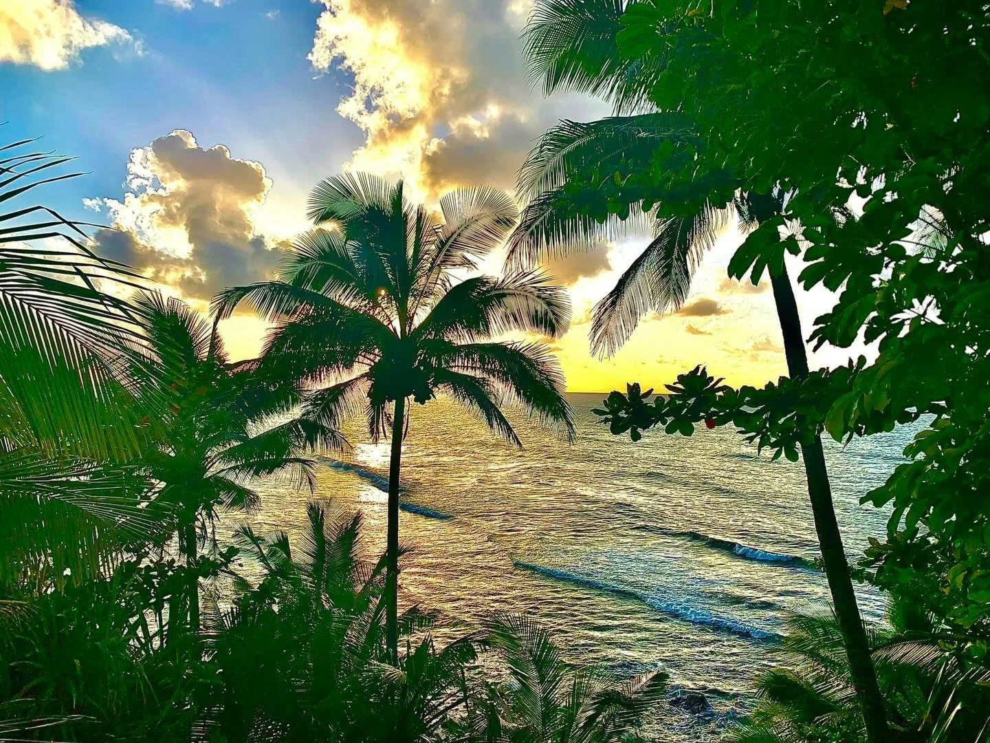 There truly is so much to be grateful for. I just finished doing my 6 month CT scan and yearly bone scan, which is making me so VERY THANKFUL for life‼️

After being referred to Hospice in 2019, this puts EVERYTHING. Into perspective for me. 

There 