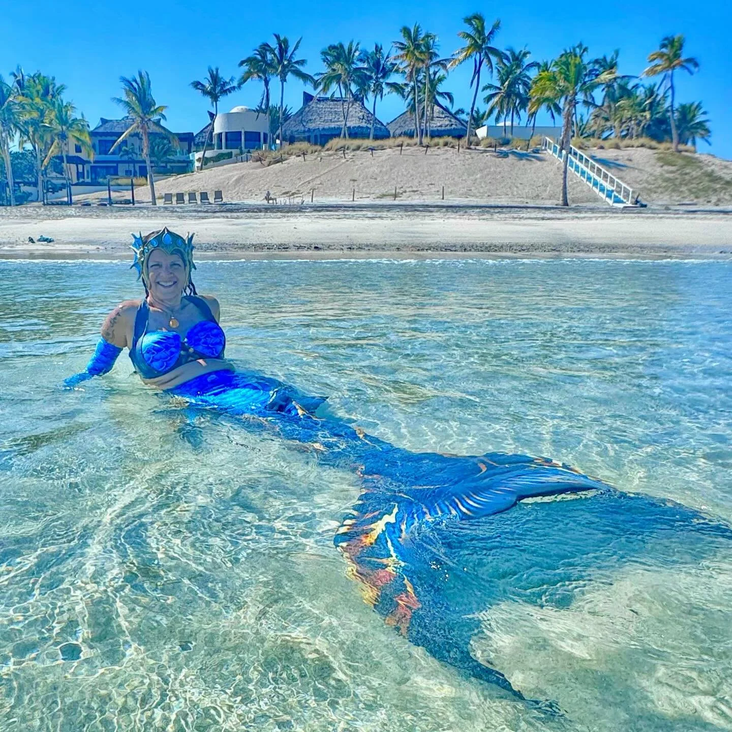 🐚 New Blog Post up! 🎉 

This post showcases a vlog created about a recent Baja Mexico Mermaid Experience with the one and only shark expert &amp; conservationist @jim_abernethy 🦈 

This past fall I joined my friend Jim Abernethy on a a trip to the