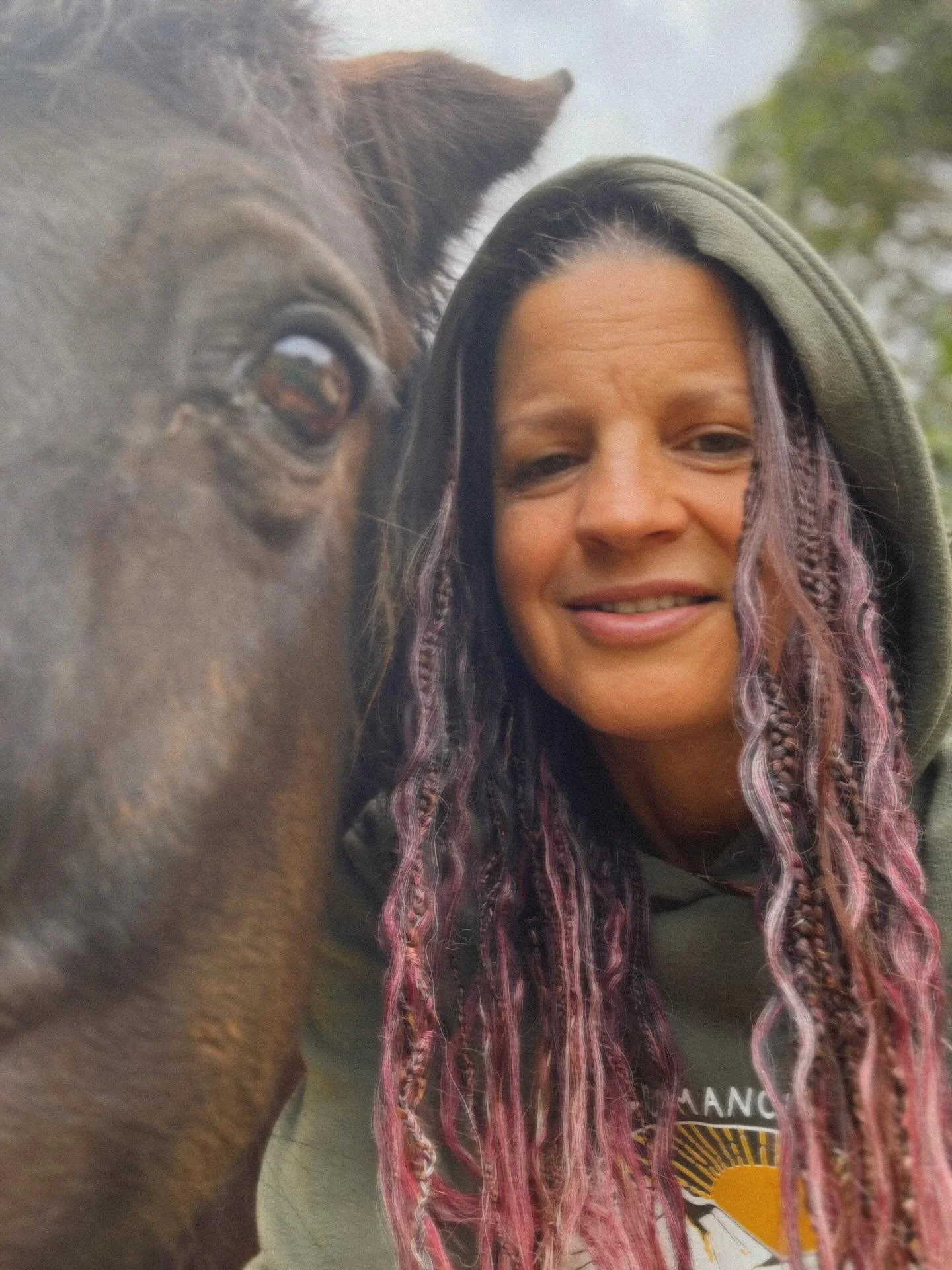 🐴 Quiet time. This is a very real photo of me in my daily ranch life with my beloved mustang horse Comanche. These horses are the rhythm and rhyme of my day. Feeding them 3x a day and caring for them does that to a person! It is a blessing and a res