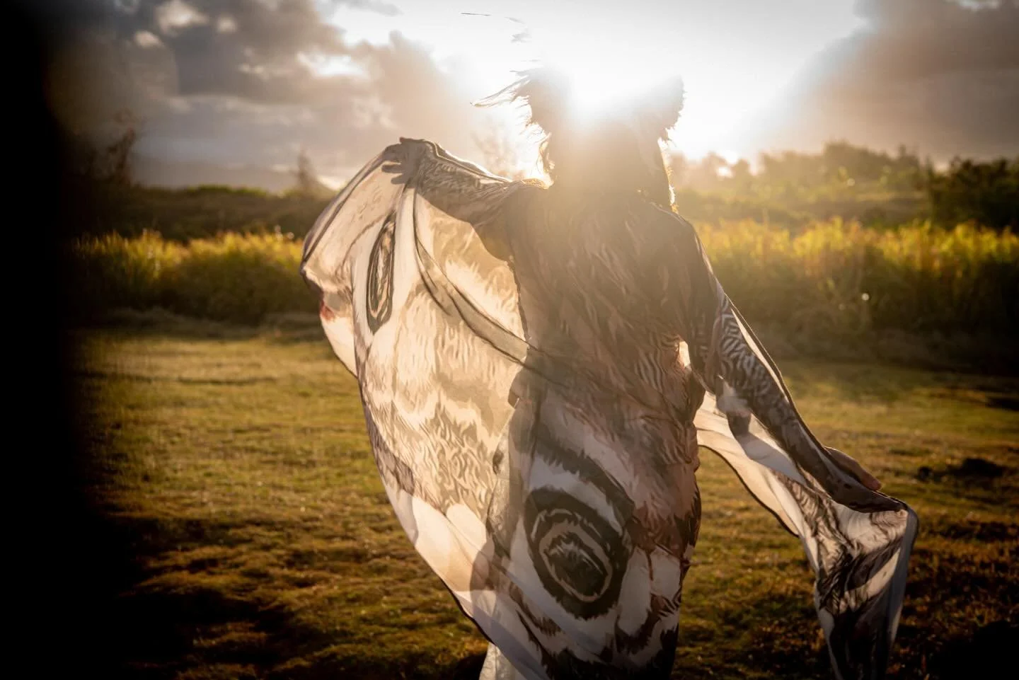 The light always dances with the shadows 

✨ 🕊️ ✨ ☀️ ✨ 🕊️ ✨ ☀️ ✨ 🕊️ ✨ ☀️ ✨ 🕊️ ✨ 

📸 @cinimist 
🪽 @costureroreal 

#kauai #kauaihawaii #wings #lightandshadow #lightandshadows