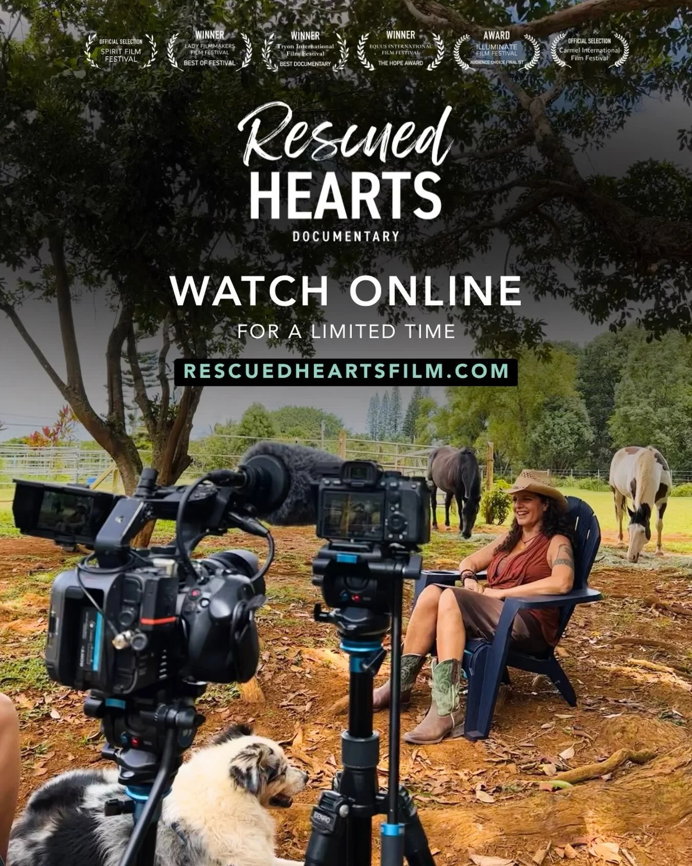 🐴 If you&rsquo;ve been wanting to watch @rescuedheartsfilm you can stream it till the end of August, but you have to purchase it by August 10‼️

Many of you have been asking about this profound film about the healing power of horses, which I&rsquo;m