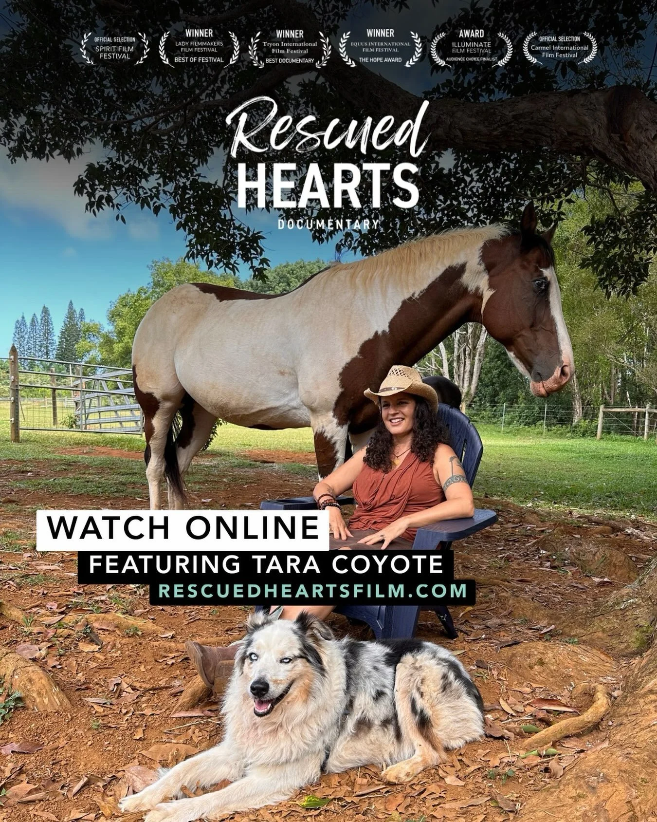 🐴 Friends, do you remember how I&rsquo;ve been posting about the epic &amp; groundbreaking documentary about the healing power of horses that I was honored to have my story of healing stage 4 cancer with the help of my horses in?! 

Well, starting o