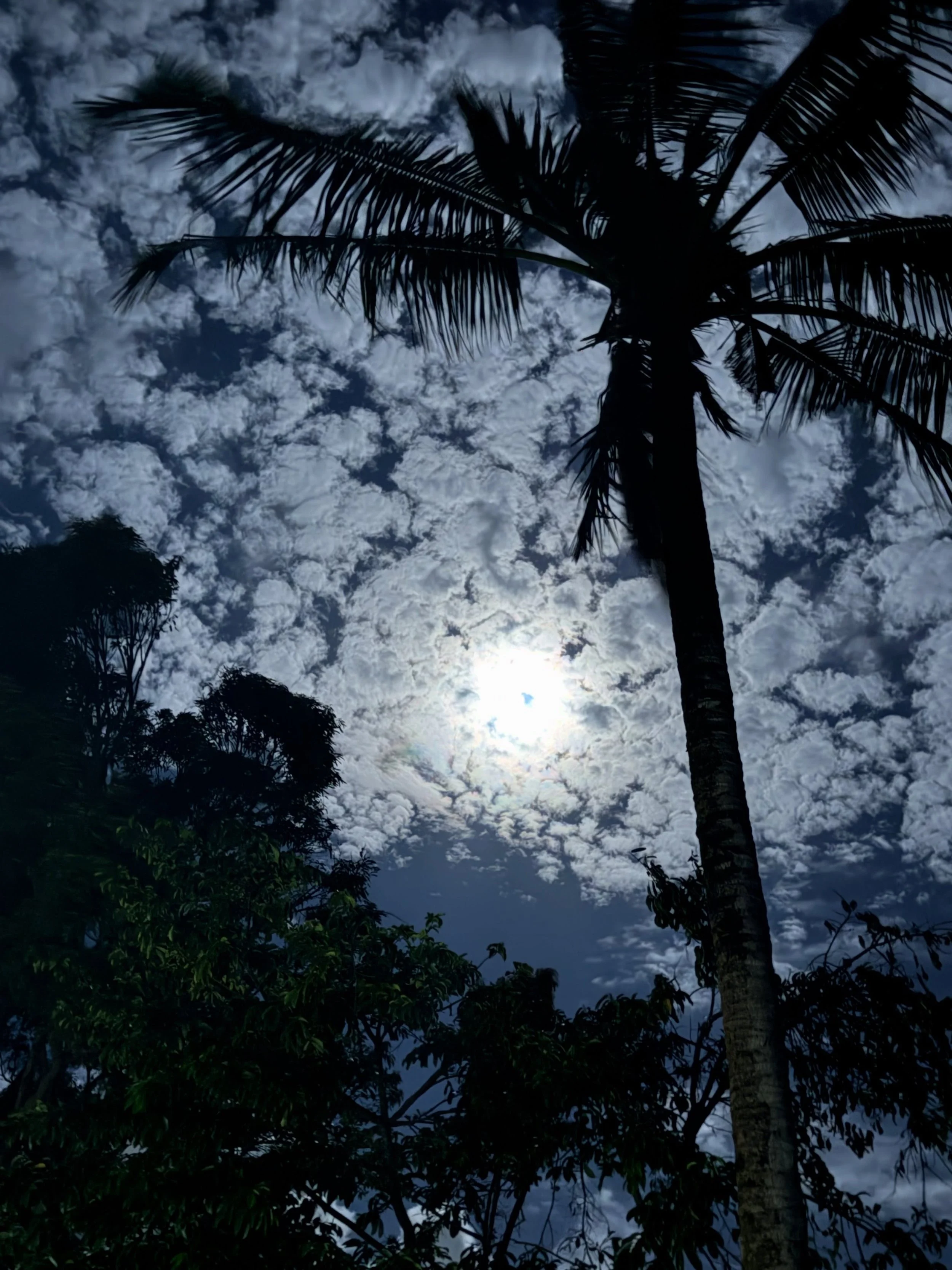 Our Hawaiian islands have been through so much, with endless hurricane scares in the past two months. Three weeks ago Kaua&rsquo;i island, where I live, was pummeled by Hurricane Lowell (cat 2) and a tornado. We&rsquo;ve all been recovering and the a