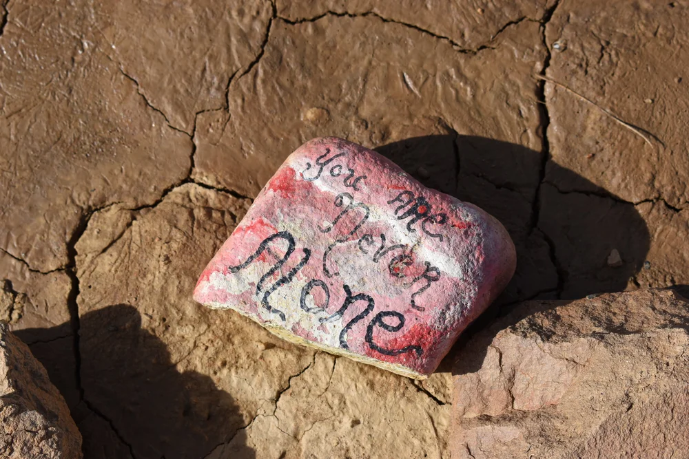 you are not alone rock.jpeg