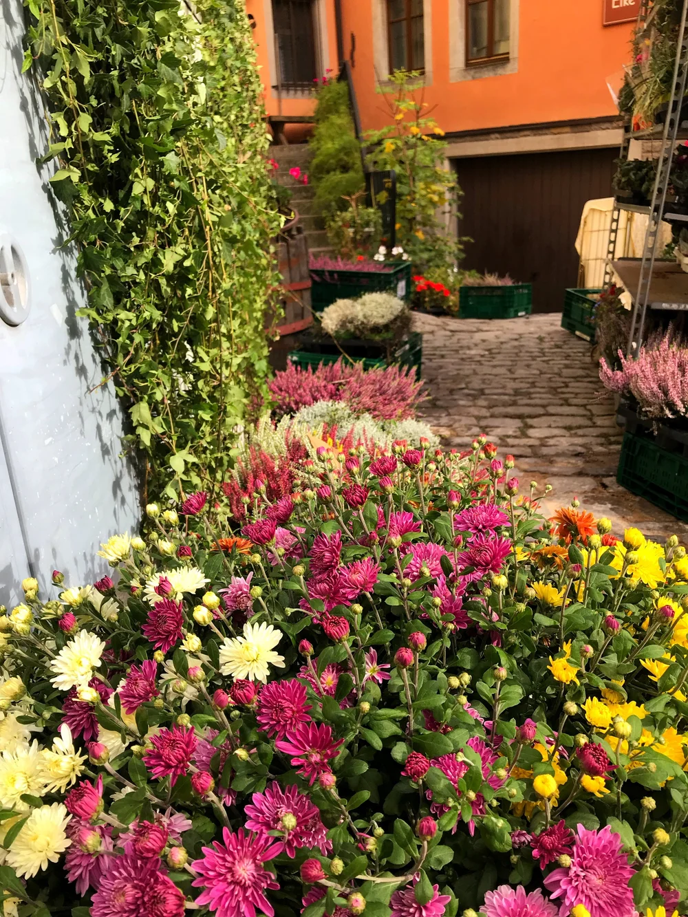 14 flowers in rothenburg.jpeg