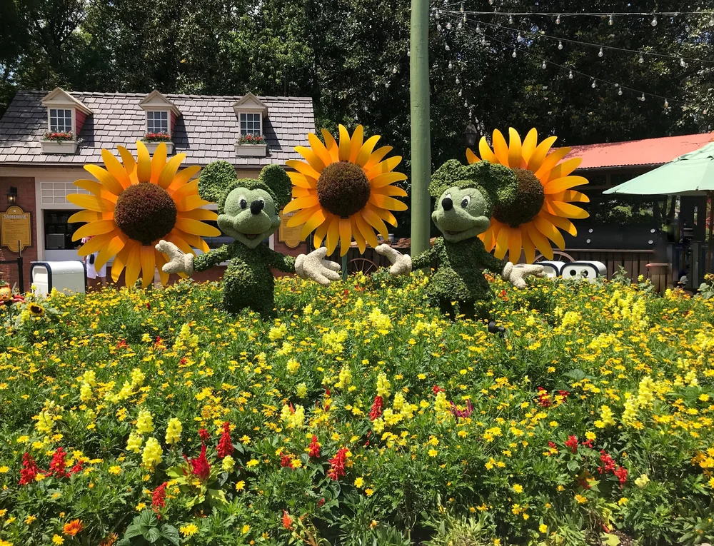 Micky and minnie flowers.jpeg