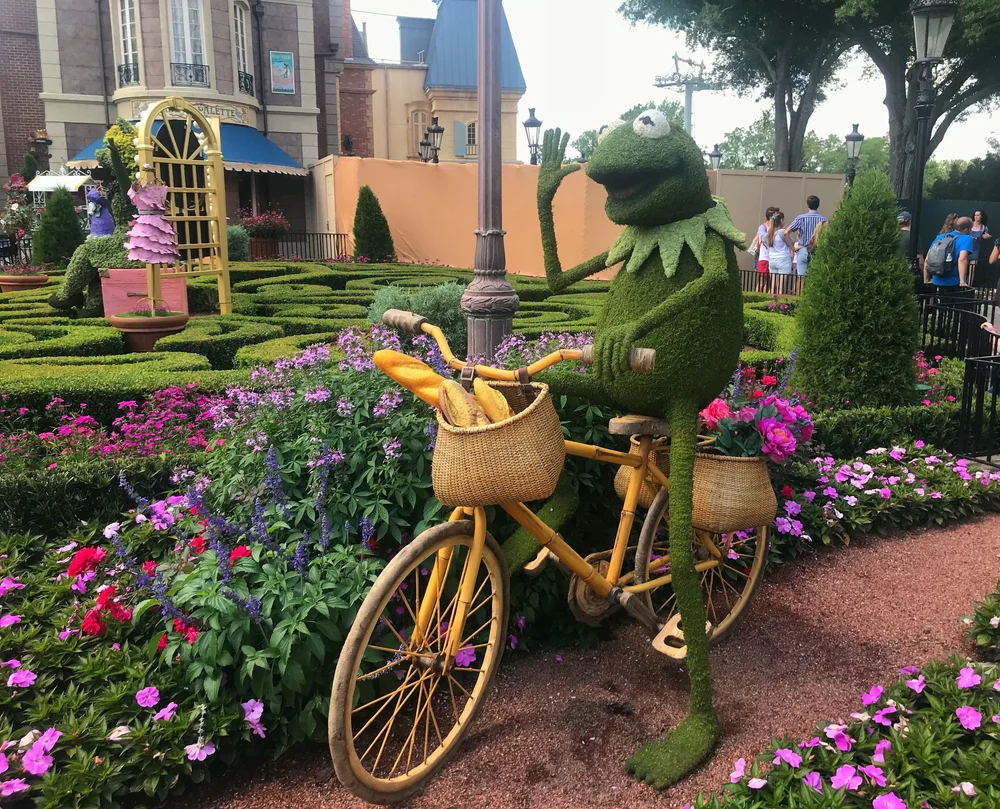 kermit flowers.jpeg