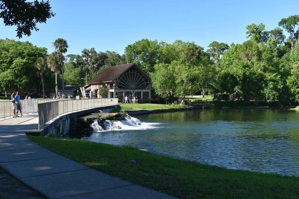 Sugar mill.jpeg