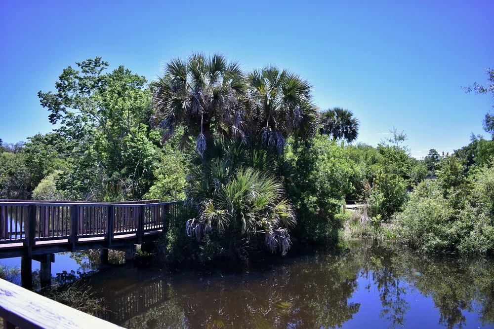 Visitors center walkway.jpeg