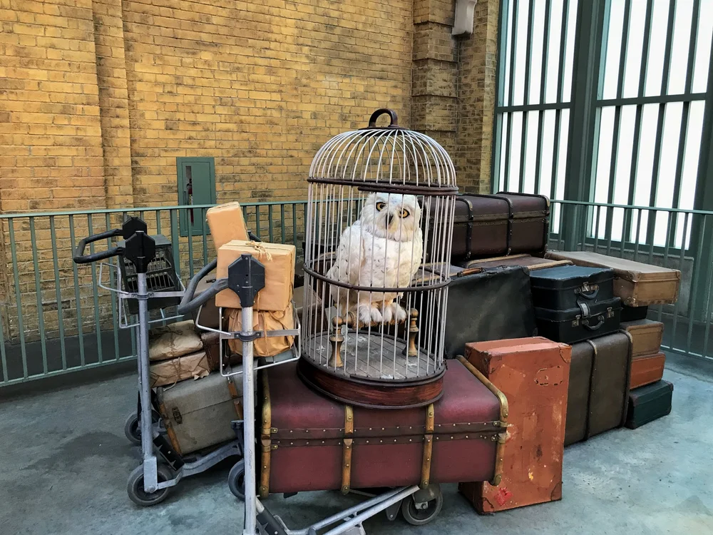 Harry Potter world.jpeg