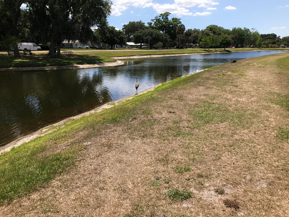 Lakefront park.jpeg