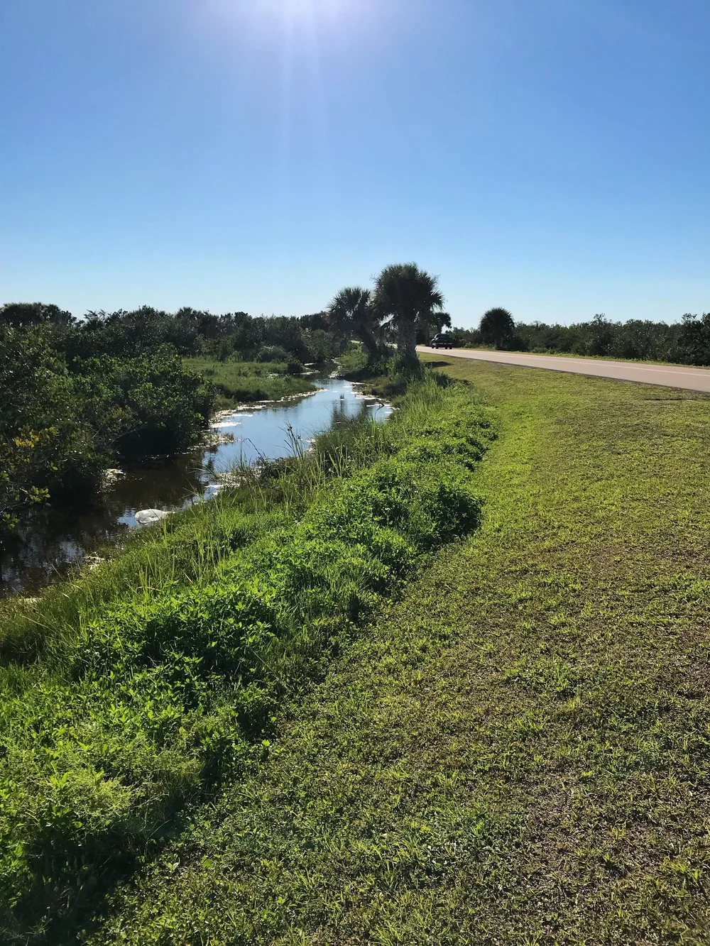 Cape Canaveral road way.jpeg