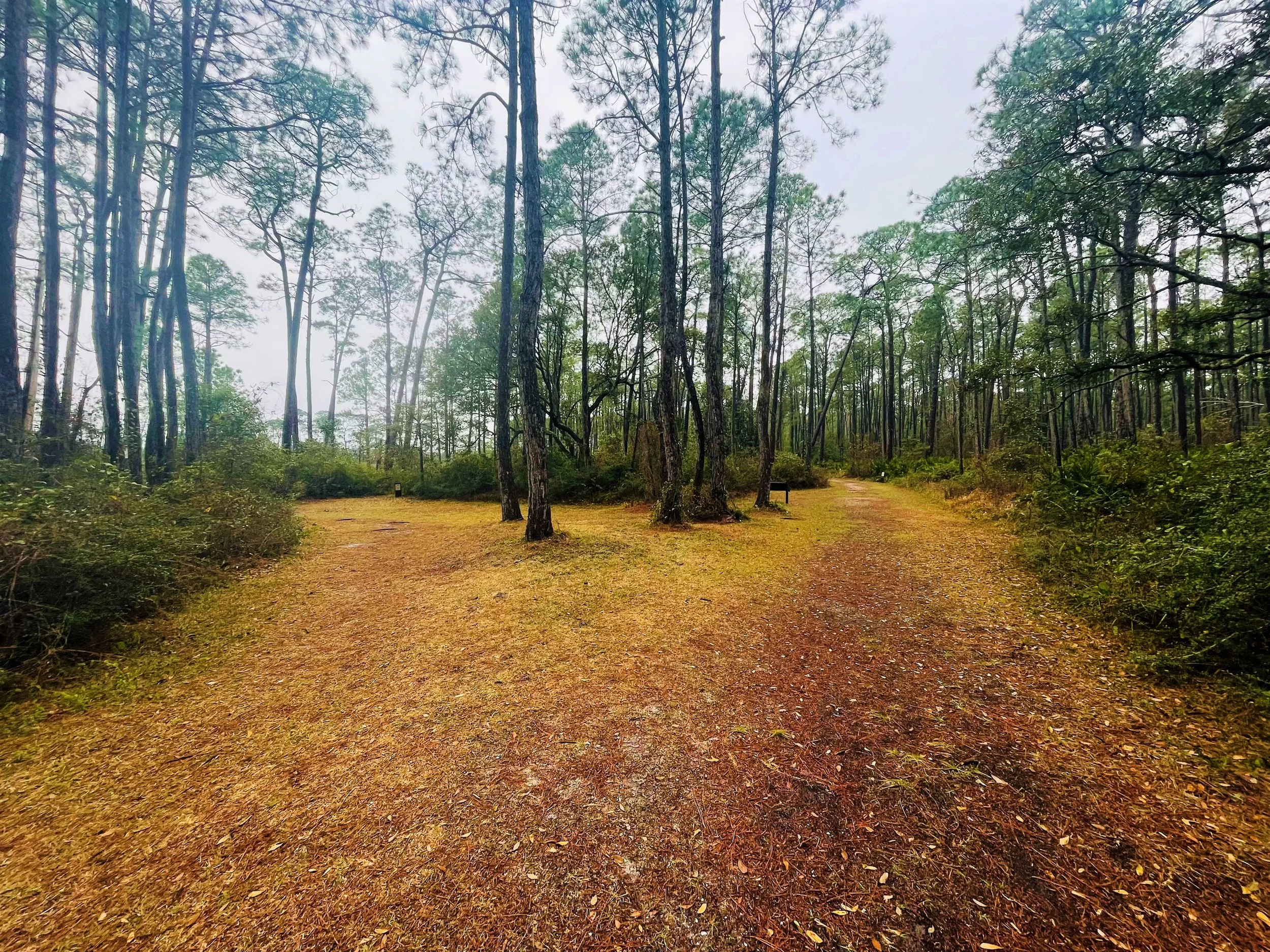 Two Roads - 3/3/22