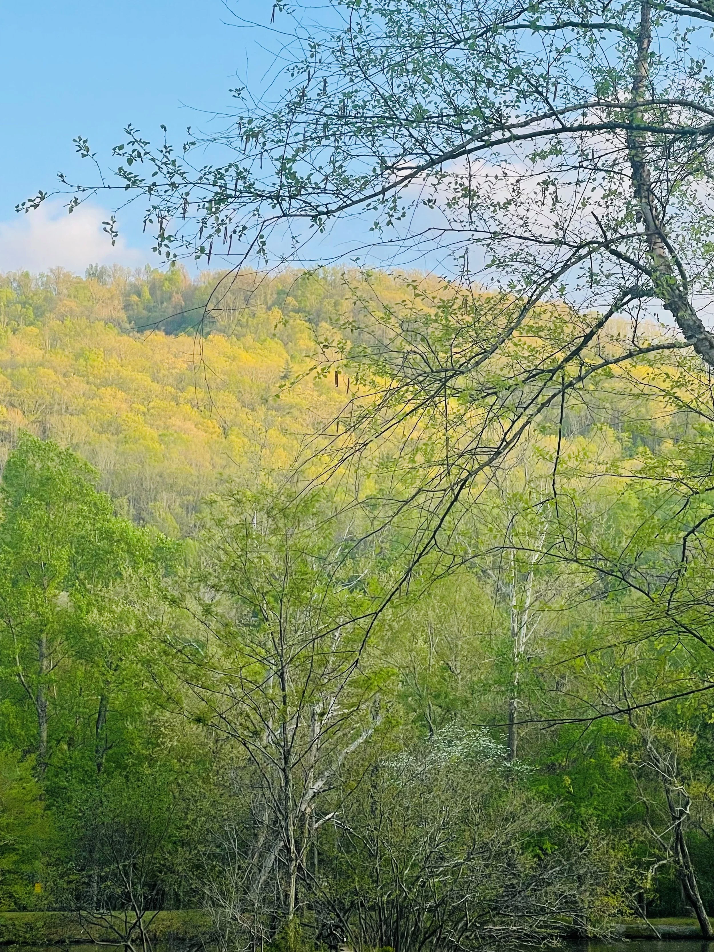 Greening 4/26/22
