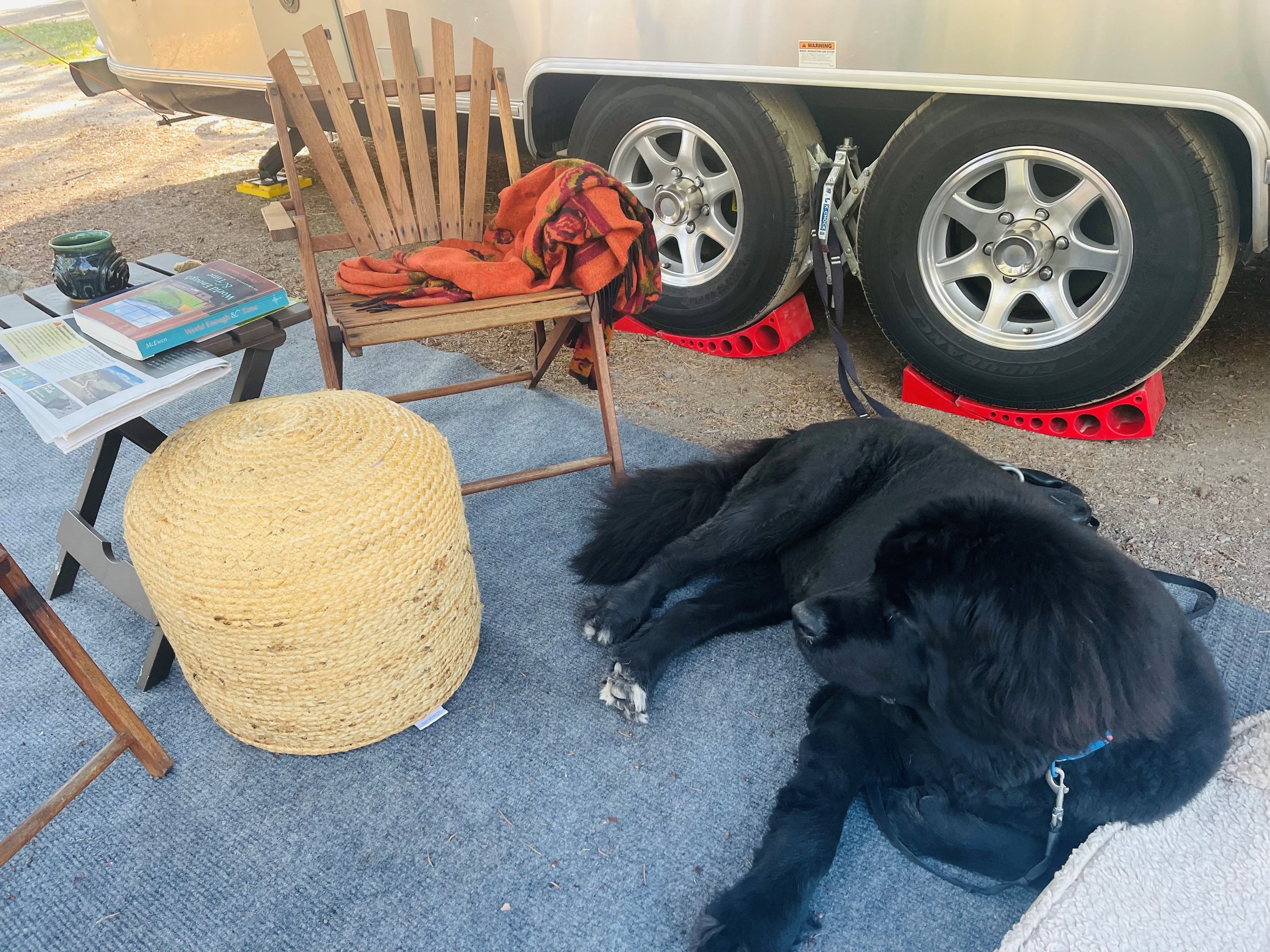 Relaxing in Grand Teton.