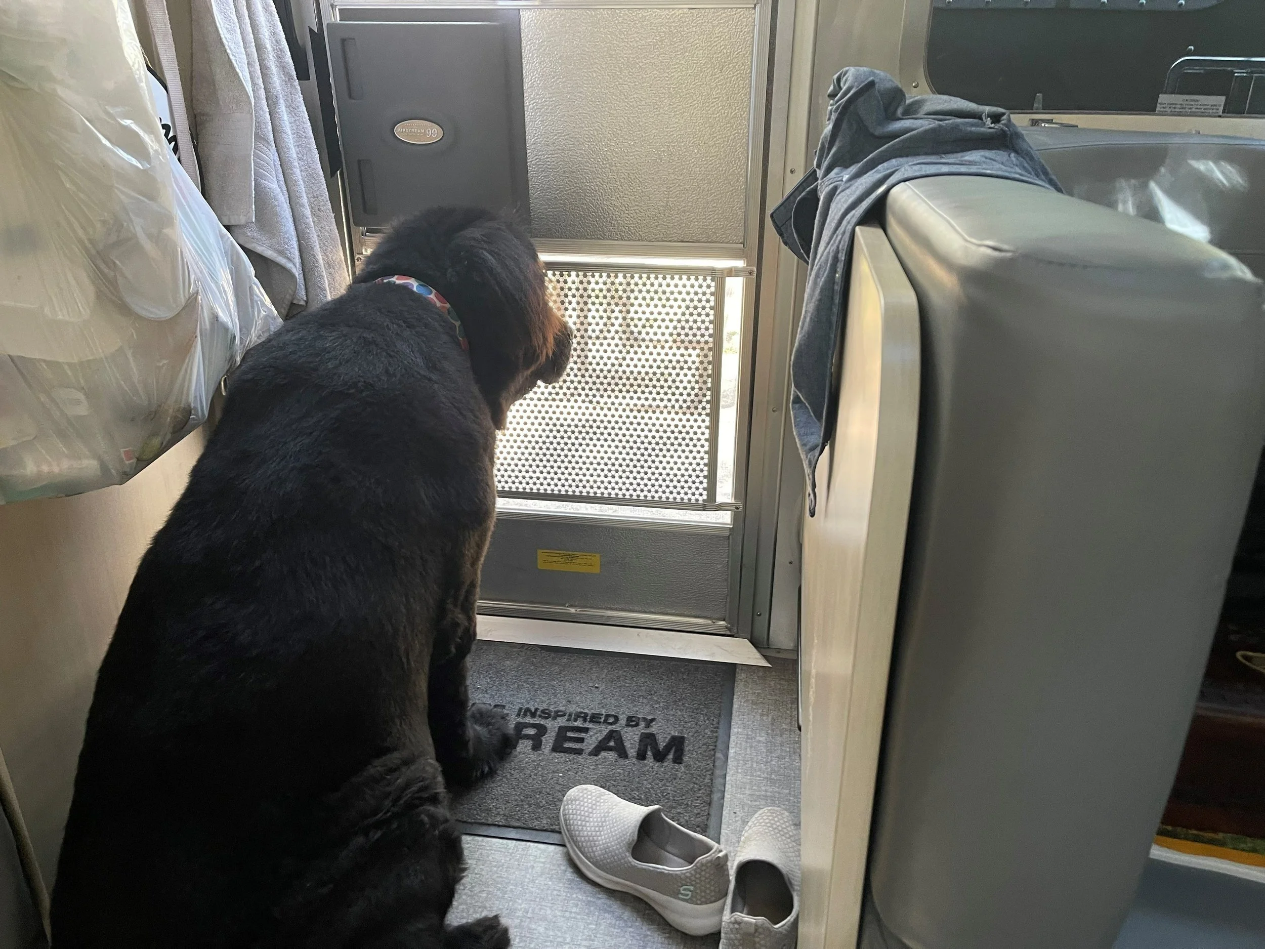 Watching out the door as Jason packs up the truck to head out.