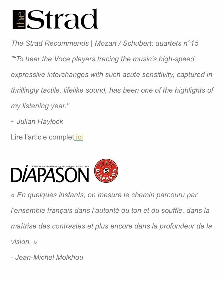 Crits strad diapason.jpeg