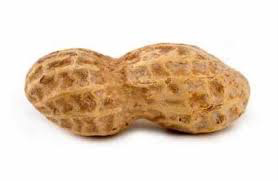 peanut.png