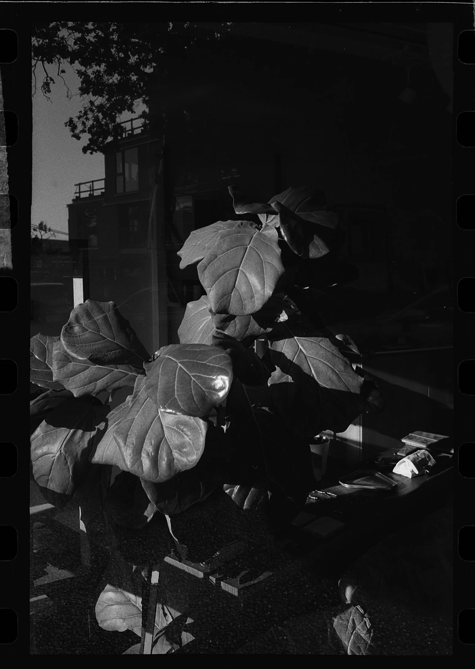 IMG_AAAA753B07AC-1.jpeg