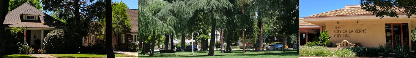 home-banner3.jpg