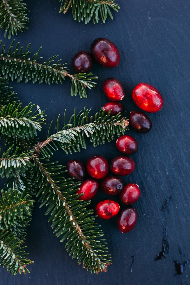 17th Day of Craftsmas // Homemade Cranberry Sauce