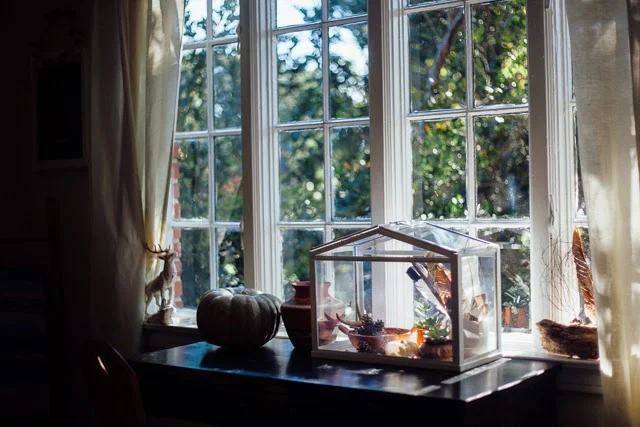 Fall // Around The House