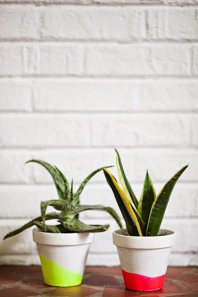 DIY // Painted Neon Pots