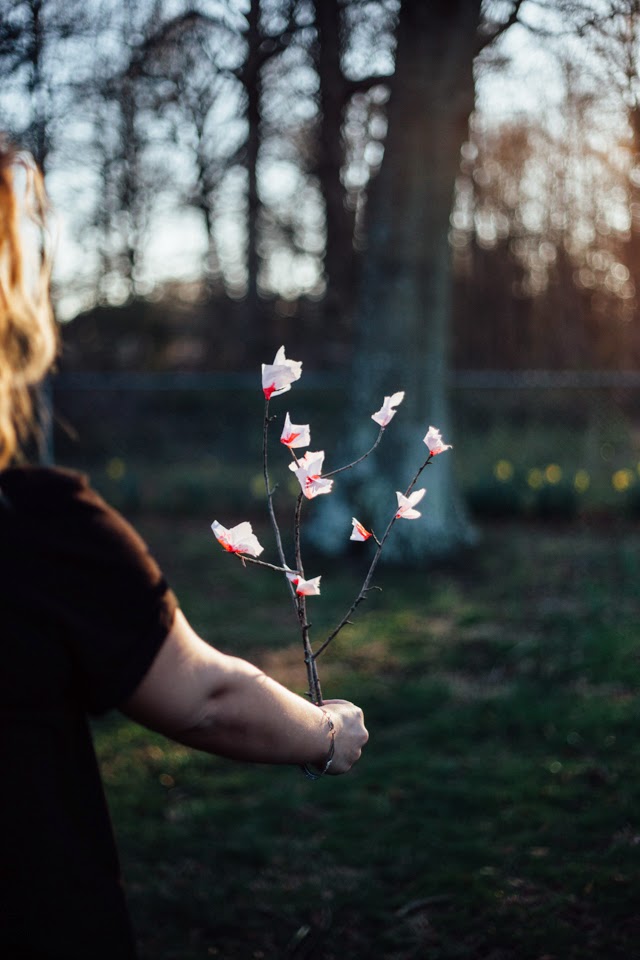 DIY // Cherry Blossom Branches