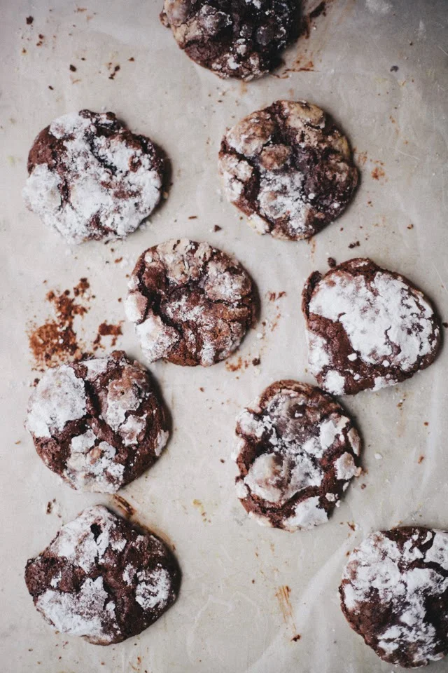 Eating In // Spiced Cocoa Cookies