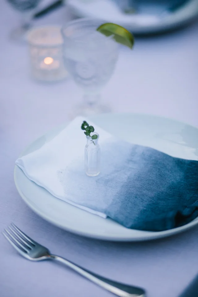 DIY // Dip Dye Napkins