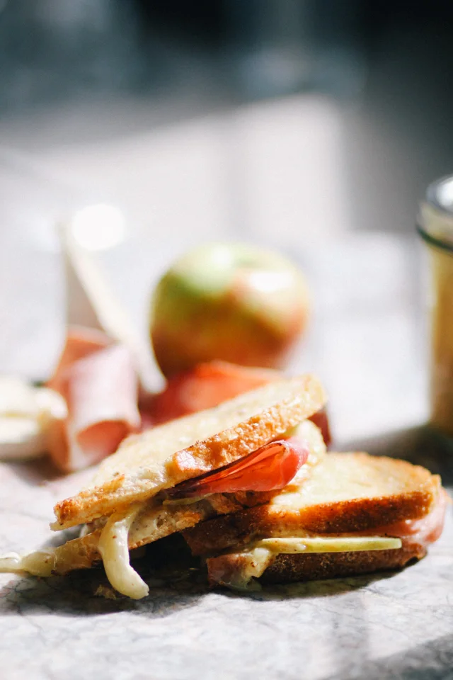 Eating In // Brie and Prosciutto Panini 