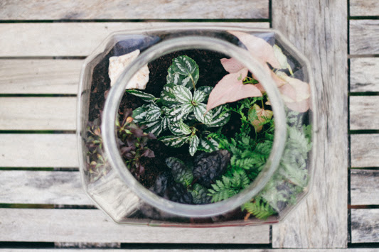 25 Days of Craftsmas: Winter Terrarium 