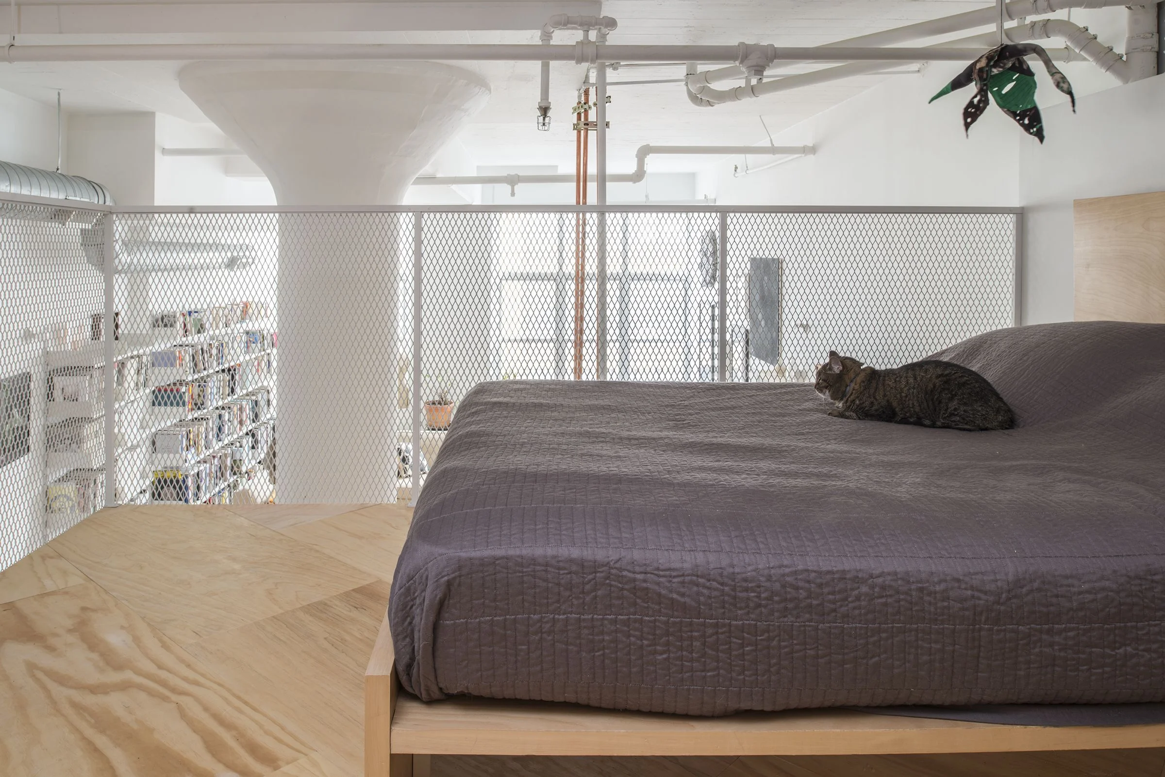 Bed-Stuy Loft, 2017, Brooklyn, NY