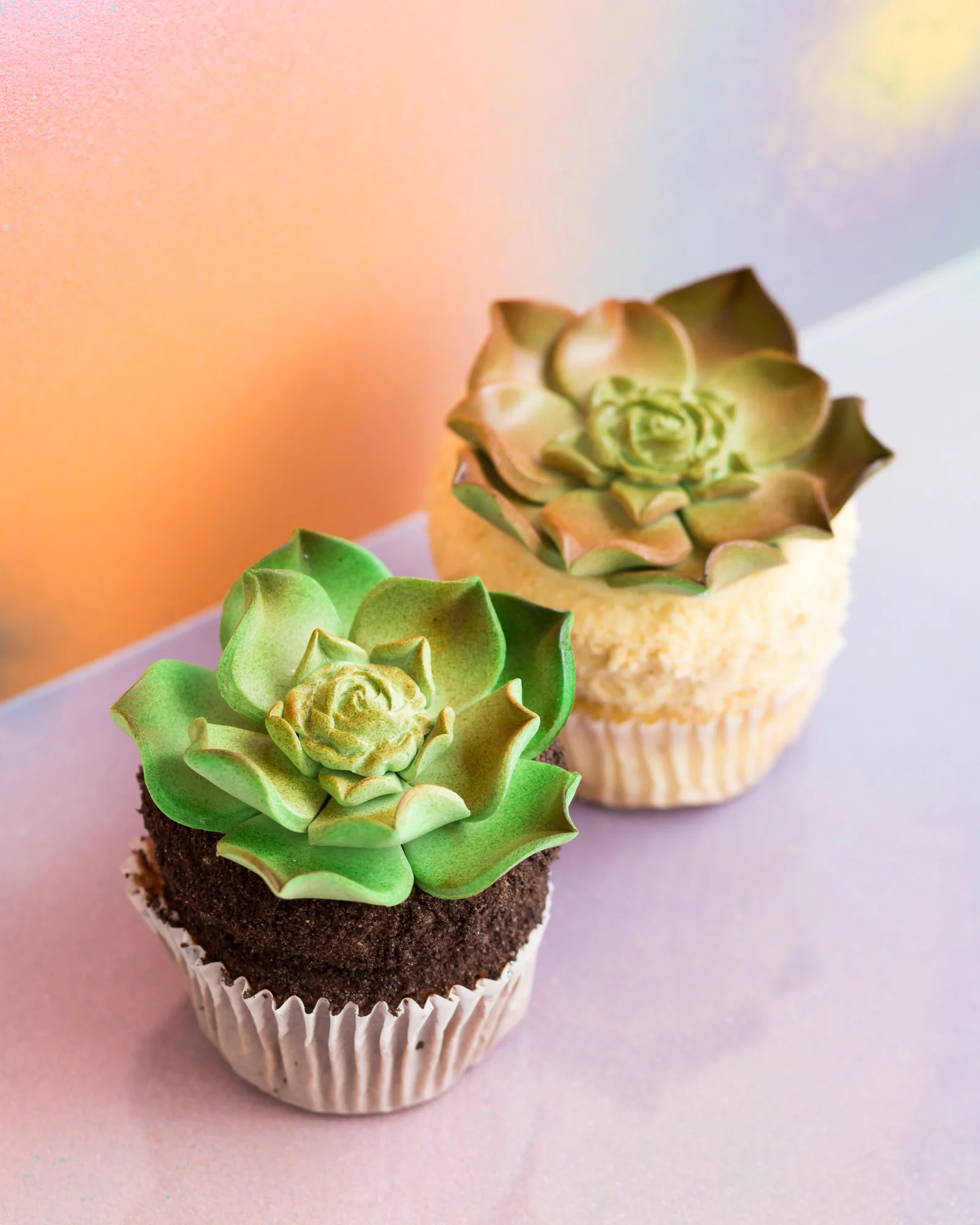 DessertGoals-Shoot2-025.JPG