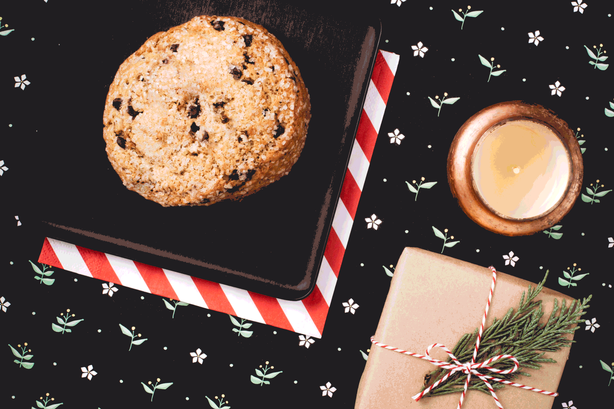 WinterShoot-Scone.gif