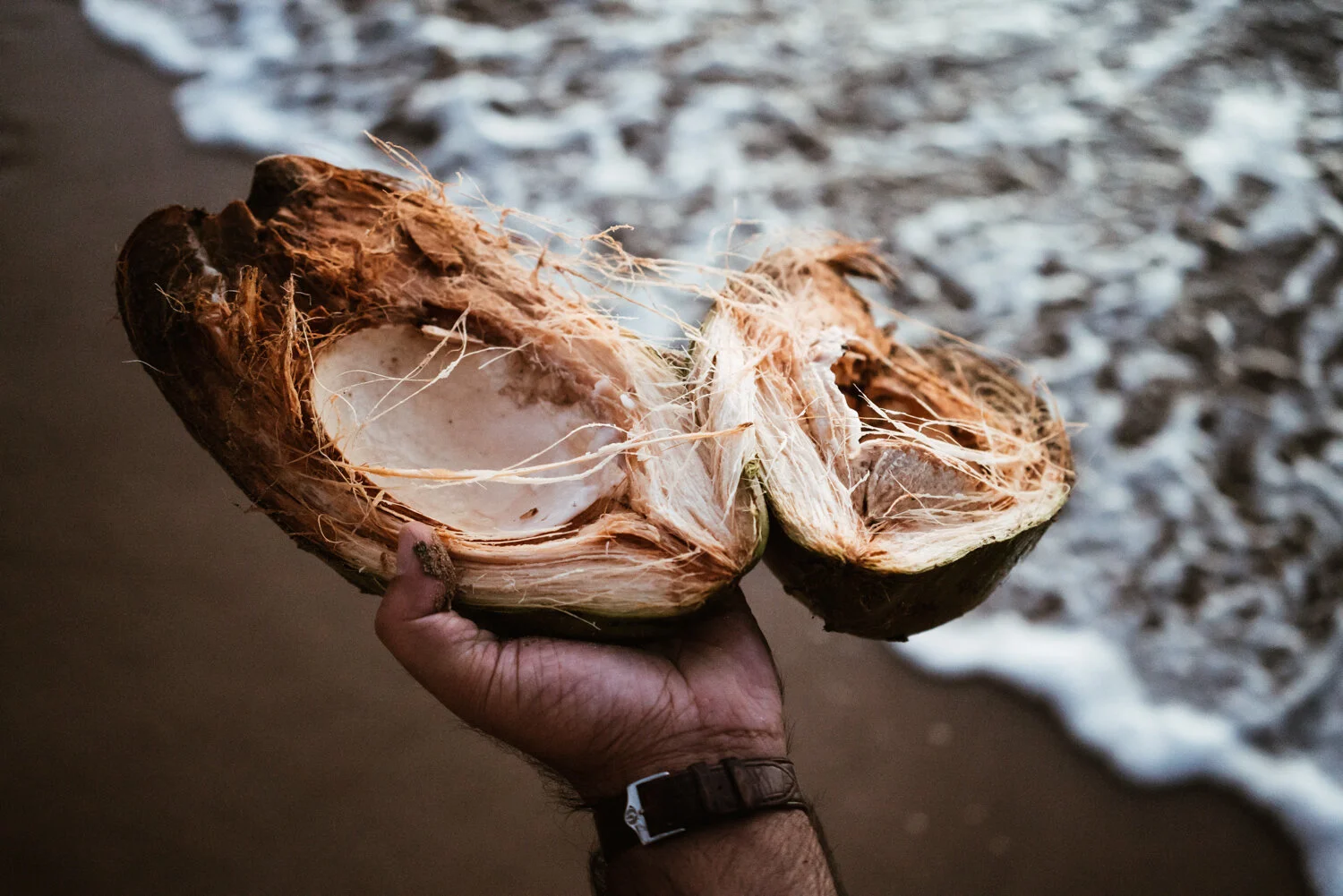 TanaGandhi-Photography-153.JPG