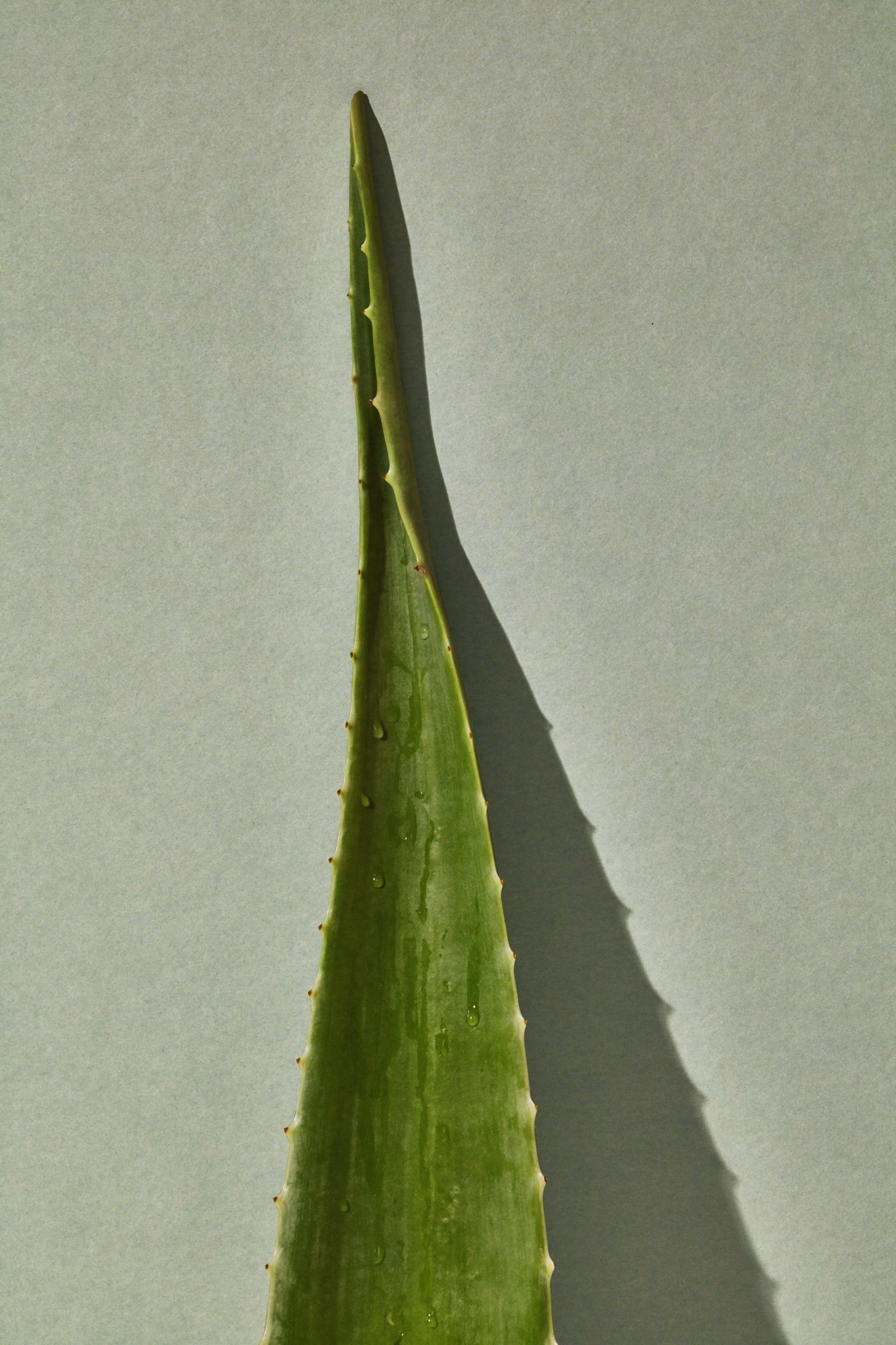 Chareau-TanaGandhi-WebRes-7.jpg