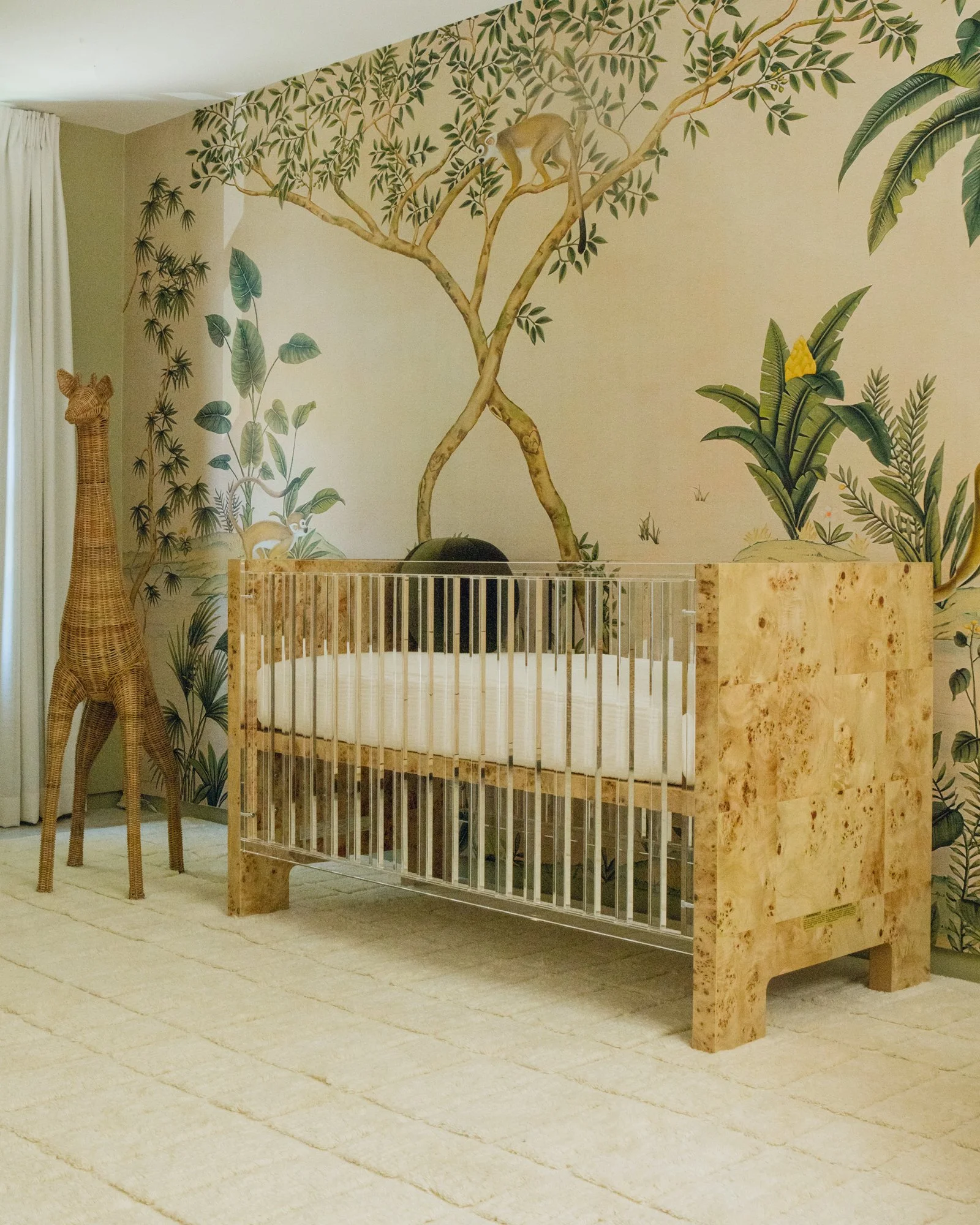 FirstSteps-WebRes-1.jpg