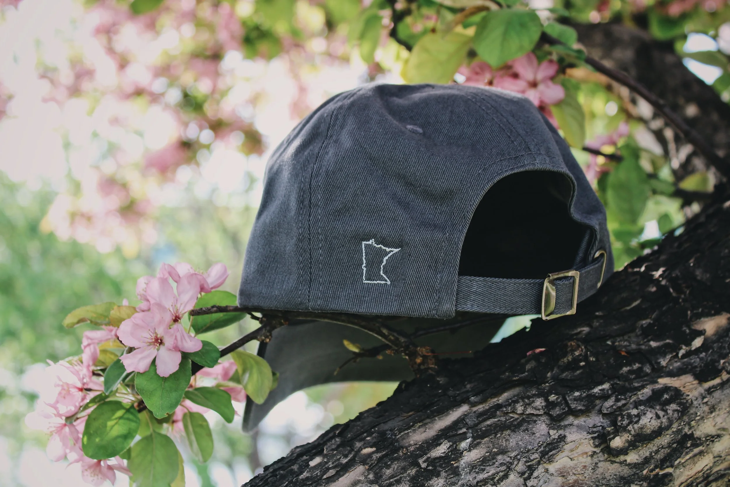 NE mpls State of Mind Dad Cap